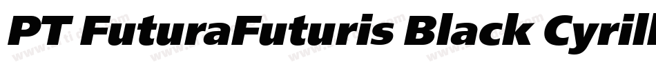 PT FuturaFuturis Black Cyrillic字体转换